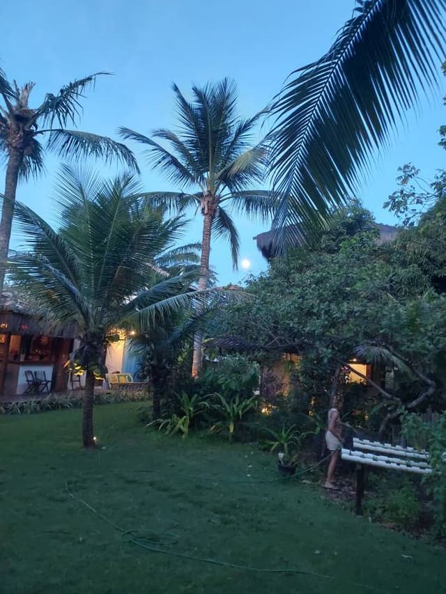 Foto 2 de Paulo M. (11/11/25)