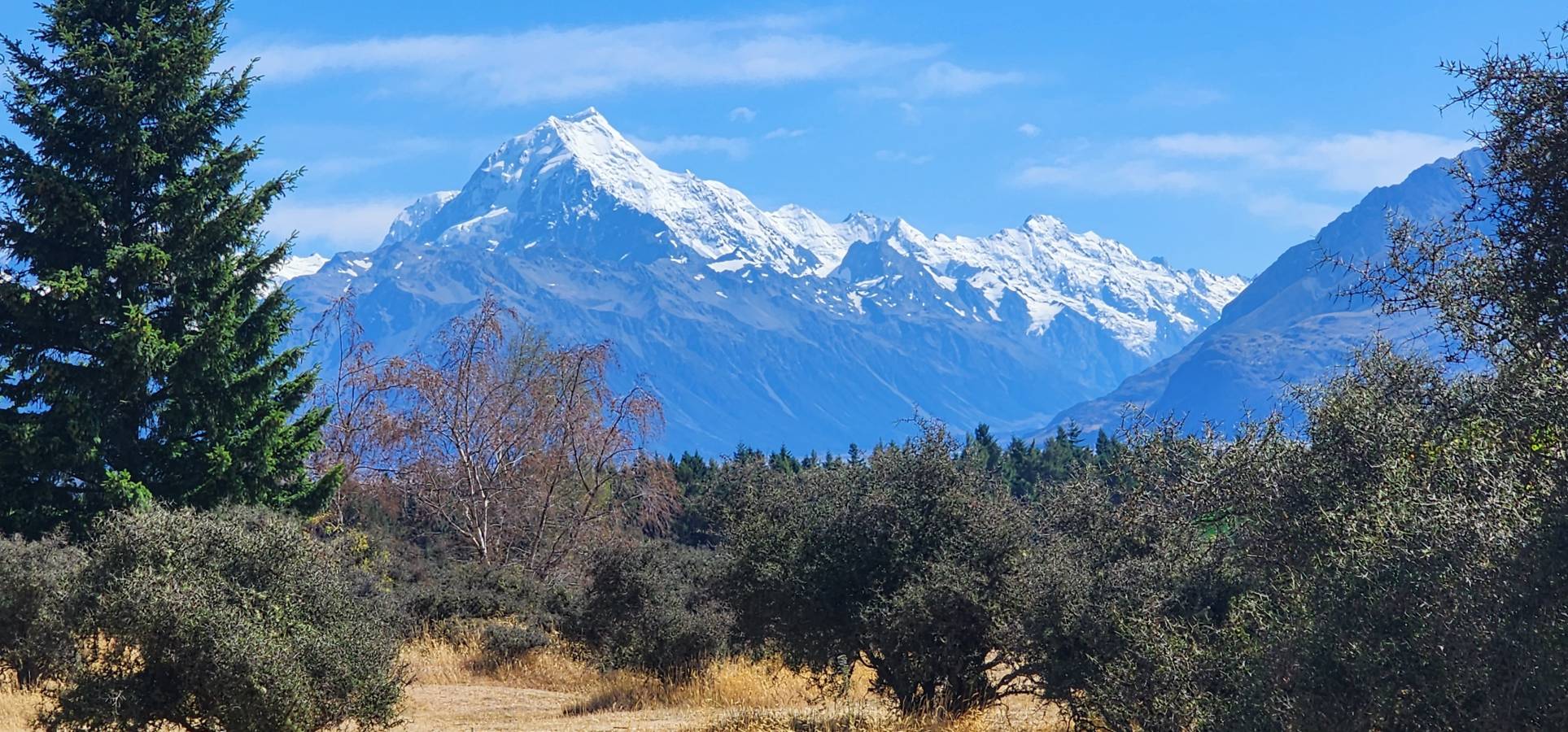 Photo 2 by Chetan D. (1/26/24)