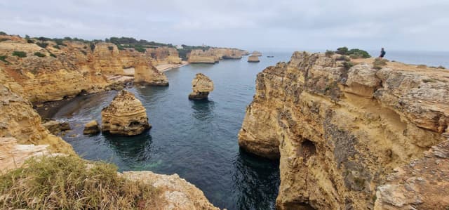 Tivadar G. 2. számú fényképe (24. 06. 13.)