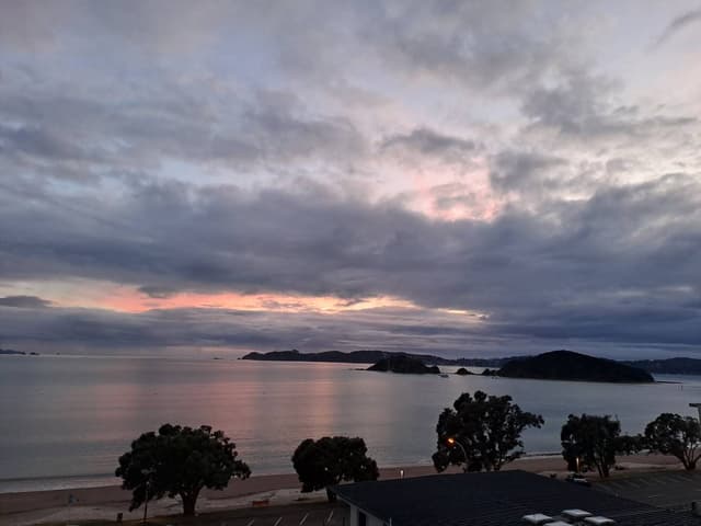 Photo 1 by Nicola B. (3/19/24)