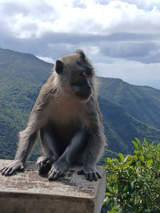 Foto 1 van Judith D. over het huren van een Suzuki S-Presso in Plaisance (22-9-25)