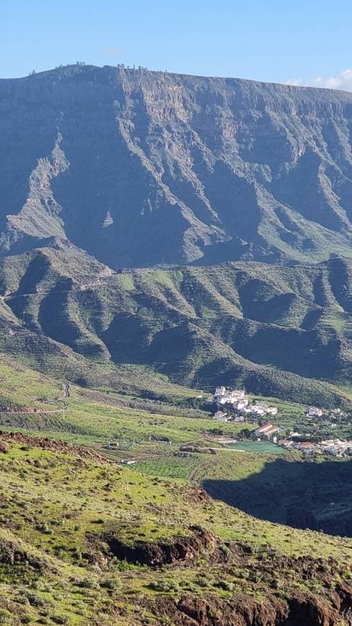 Nuotrauka 2, pateikta ZIVILE K. (26-01-12)