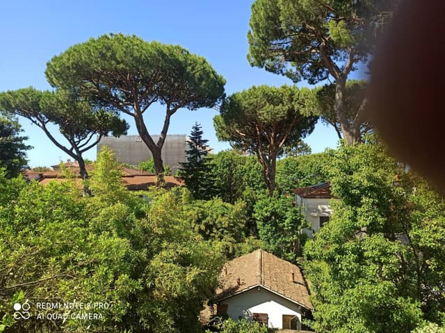 Foto 2 de Carlos A. (12/06/24)