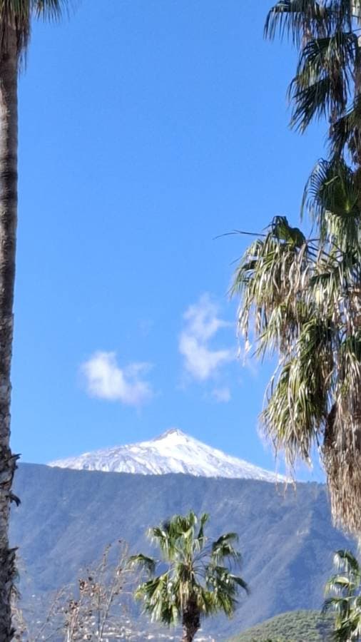 Photo 2 par GREGORY D. sur la location d'un Ford Fiesta à l’aéroport de Tenerife-Sud (11/03/25)