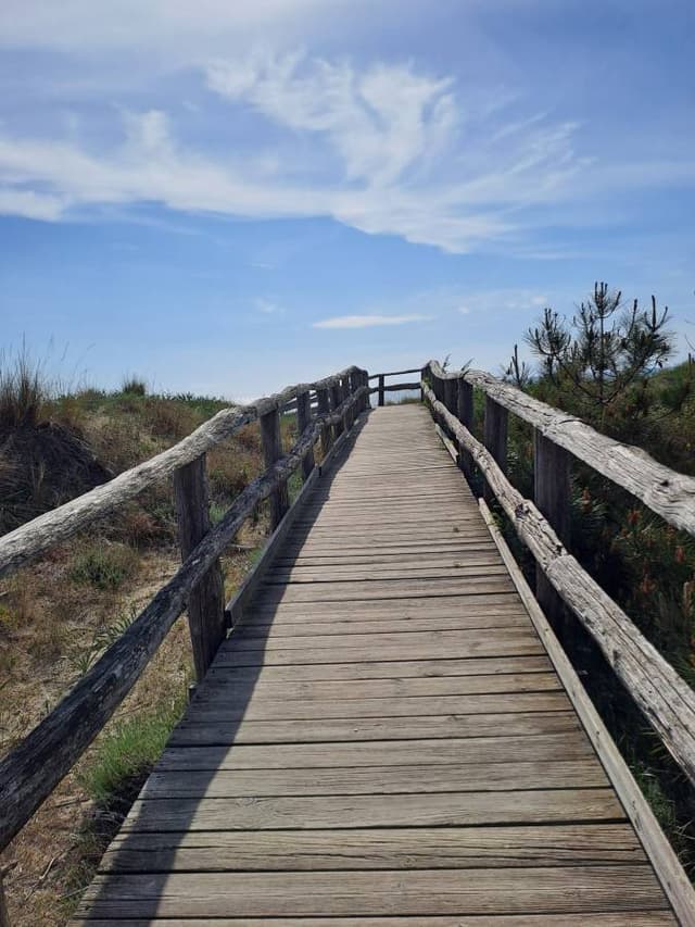 Foto 1 di Maria Cristina B. (22/04/26)