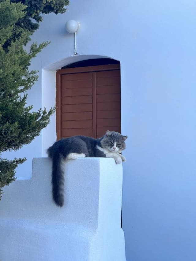 Photo 1 par Christian B. (15/09/24)