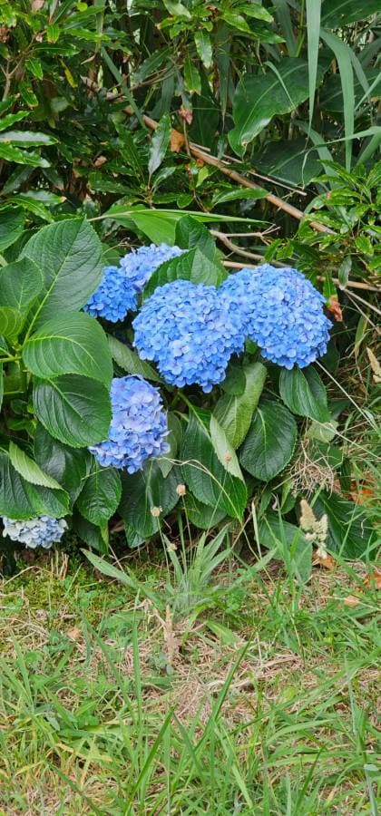 Photo 1 by Jordan M. about hiring a Toyota Yaris at Ponta Delgada Airport (27.07.24)