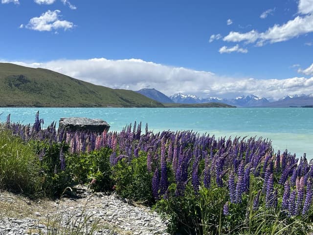 Photo 1 par Jean Louis S. (23/12/25)