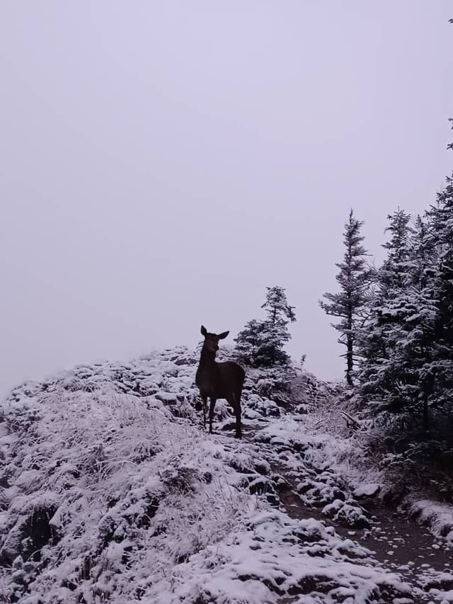 Фото 2 от Ihor K. об аренде Toyota C-HR в Варшаве (25.11.23)