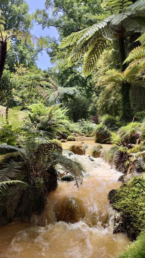 Foto door Joost S. (7-7-23)