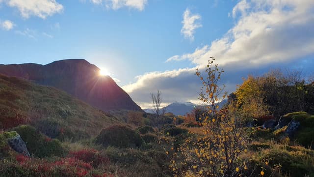 Photo 1 by Geraldine D. about renting a Polestar 2 in Svolvaer (10/9/24)