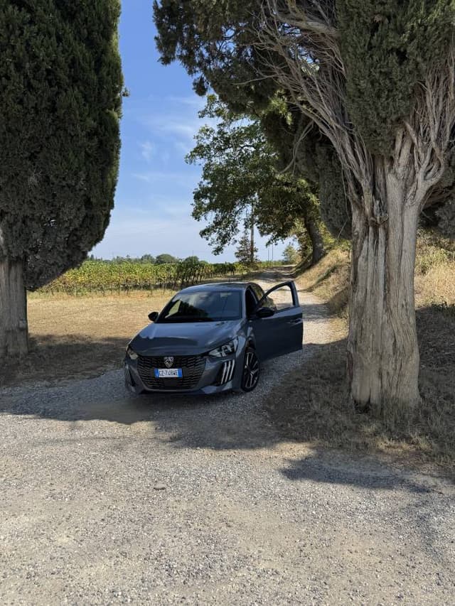 Zdjęcie wykonane przez Joanna B. (22.08.25)