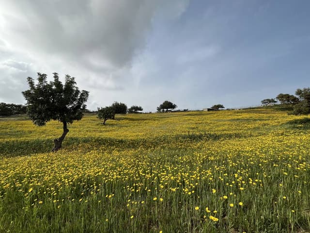 Photo 2 par STEPHANIE T. sur la location d'un Toyota Yaris à Paphos (28/03/24)