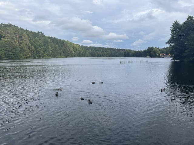 Photo 2 by Marcin Z. about hiring a Volkswagen Golf in Wroclaw (25/08/24)