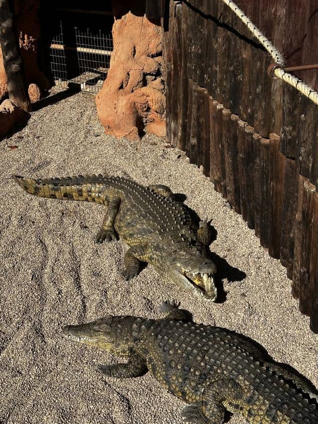 Photo 1 by Kestutis N. about hiring a Peugeot 2008 at Lanzarote Airport (03/01/26)