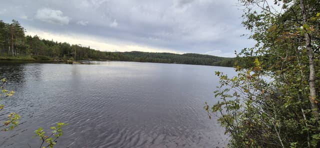 Photo 1 by Vladimir S. about renting a Toyota RAV4 in Oslo (8/19/24)