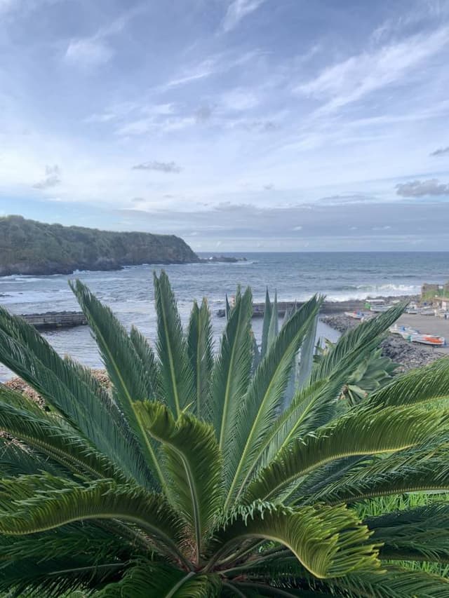 Photo 2 par Nathalie L. sur la location d'un Opel Corsa Hatchback au Portugal - aux îles des Açores (26/09/23)