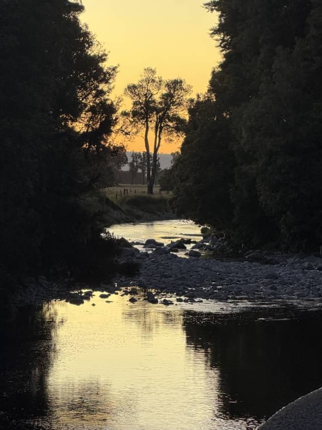 Photo 2 by Jacqueline R. (2/21/26)