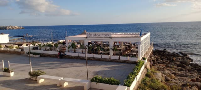 Foto 1 von Diana P. (2.11.25)