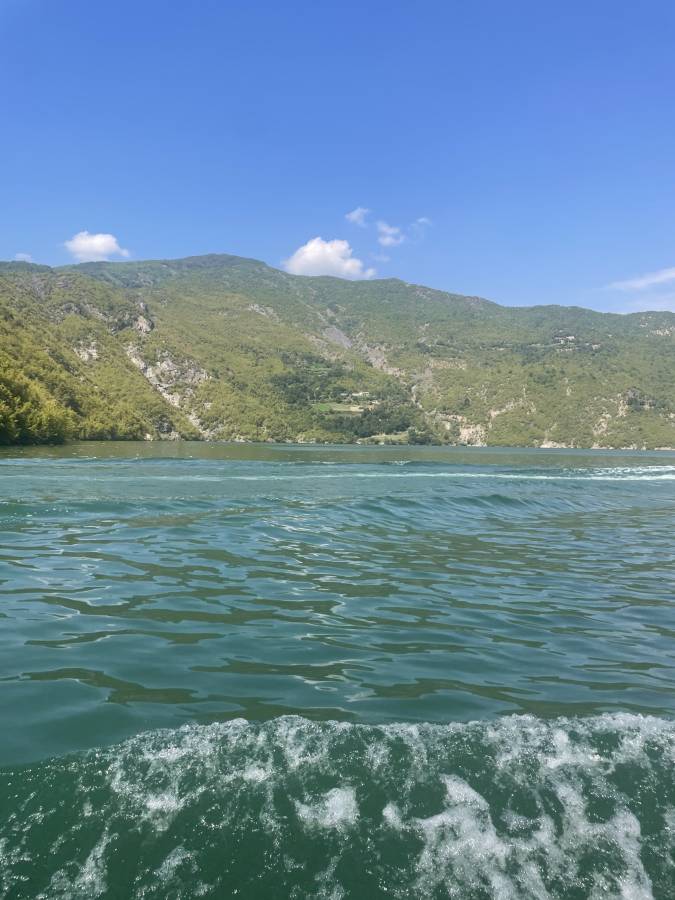 Photo 1 by Micha H. (8/9/25)