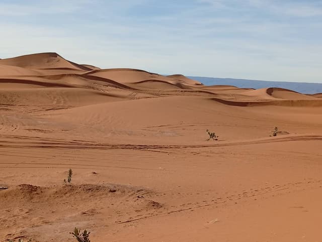 Photo 3 par Gilbert C. (28/01/26)