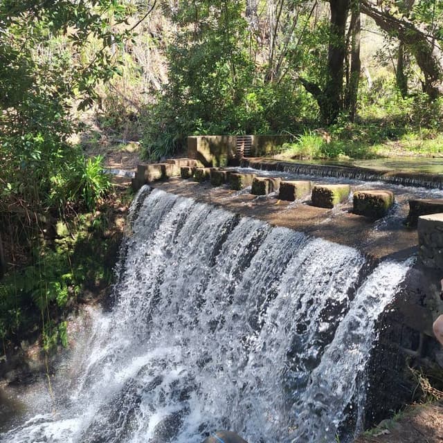 Foto 1 van Johan T. (5-4-26)