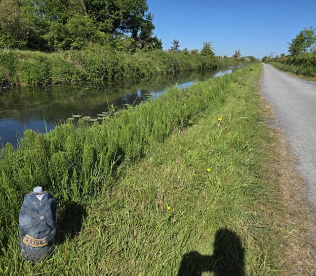 Photo 1 by Zafar K. about renting a Kia Picanto in Dublin (5/19/25)