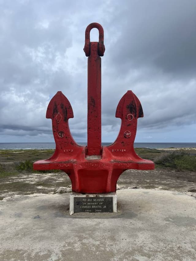 Photo 1 by Jan G. (11/25/25)