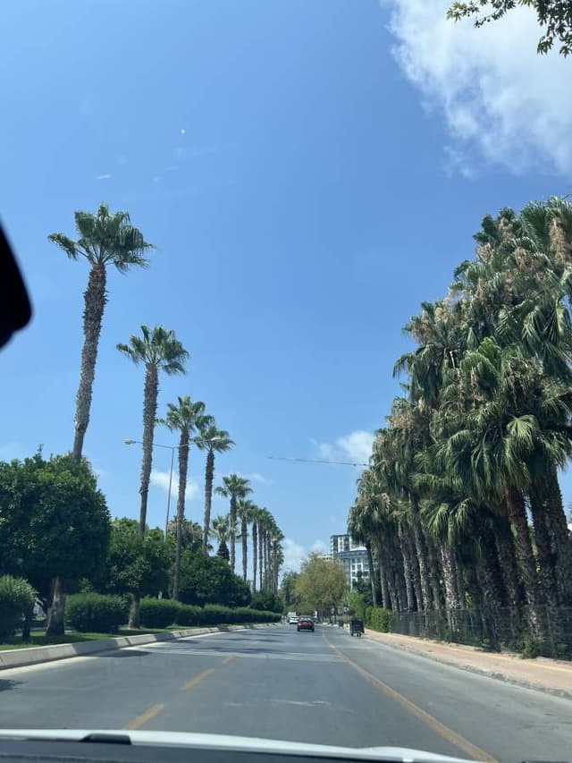 Photo 1 par Cengiz T. (24/07/26)