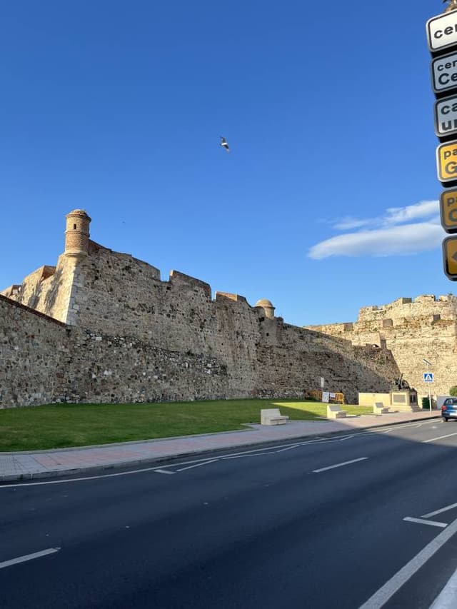 Foto 1 de Rui C. (05/05/25)