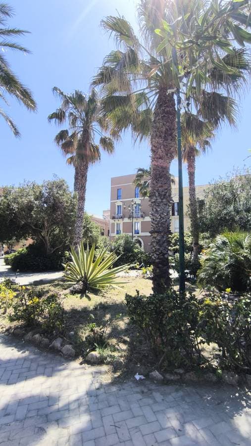 Zdjęcie 1 wykonane przez Mateusz K. (3.05.25)