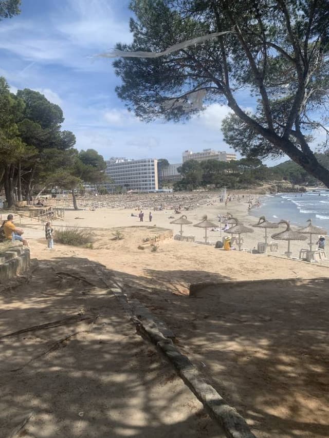 Photo by Pat M. about hiring a Ford Focus in Majorca (19.04.25)