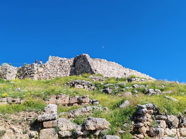 Foto 1 di Daniela G. (05/03/26)