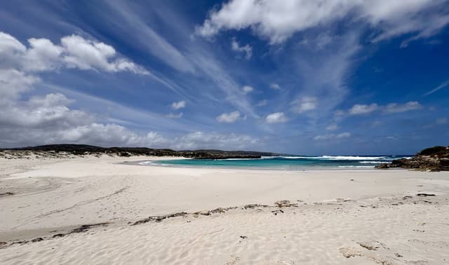 Foto 1 di Marco B. (12/12/25)