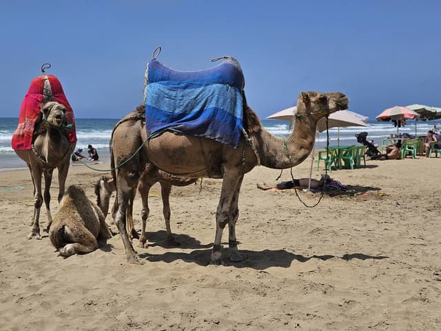 Foto 2 di Giuseppe M. (14/07/24)