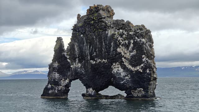 Fotografia 2 realizată de ELVIS DRAGOS D. (18.07.24)