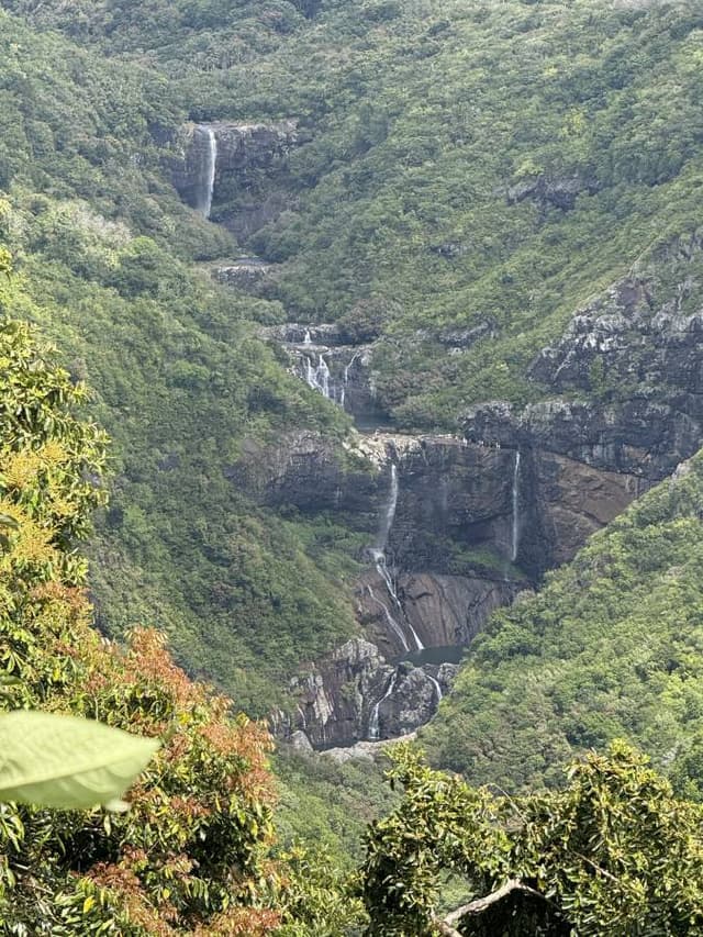 Photo 1 par Sandra M. sur la location d'un Suzuki S-Presso au Bel Ombre (14/09/25)