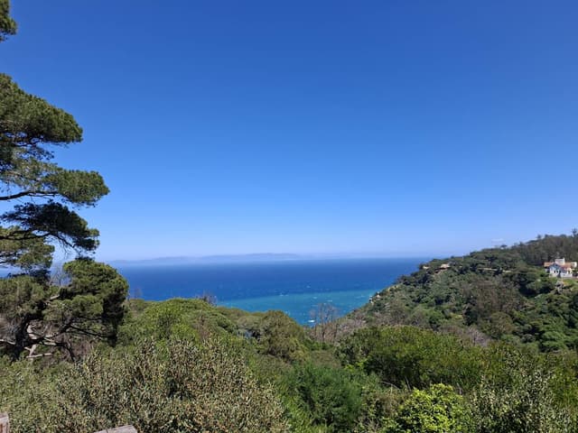 Photo 1 par MOHAMMED E. (07/04/26)