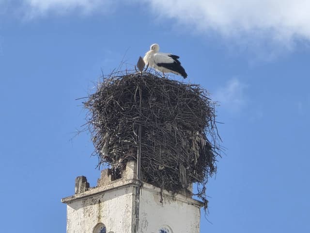 Foto 3 di Francesco L. (15/01/26)