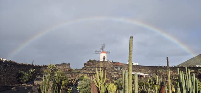 Foto 1 di Salvatore Vincenzo G. (24/01/26)