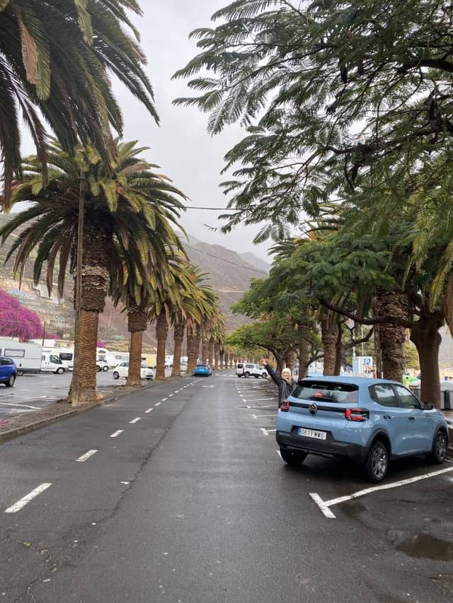 Photo 3 by Magdalena B. about renting a Citroen C3 at Tenerife Airport South (2/22/25)
