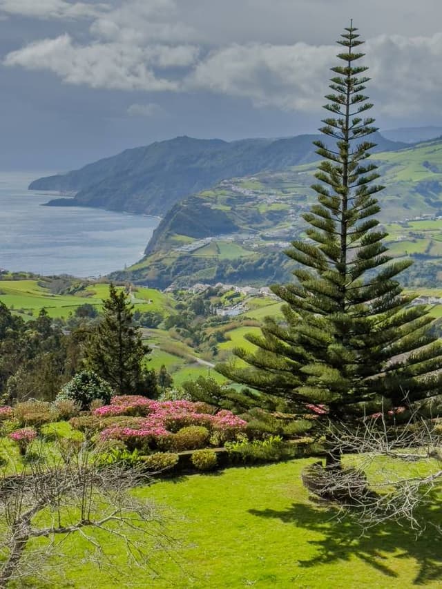 Photo 2 by Krzysztof P. about renting a Seat Arona in Ponta Delgada (3/22/25)