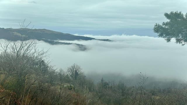 Фото 1 от Grigori G. об аренде Toyota C-HR в Софии (25.02.26)