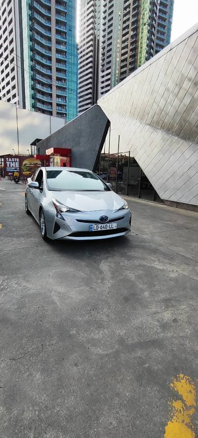 Photo by EFSTATHIOS S. (11/13/25)