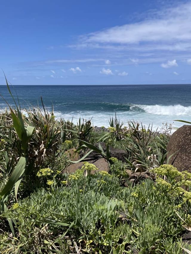 Photo 1 par Laetitia R. (21/07/23)