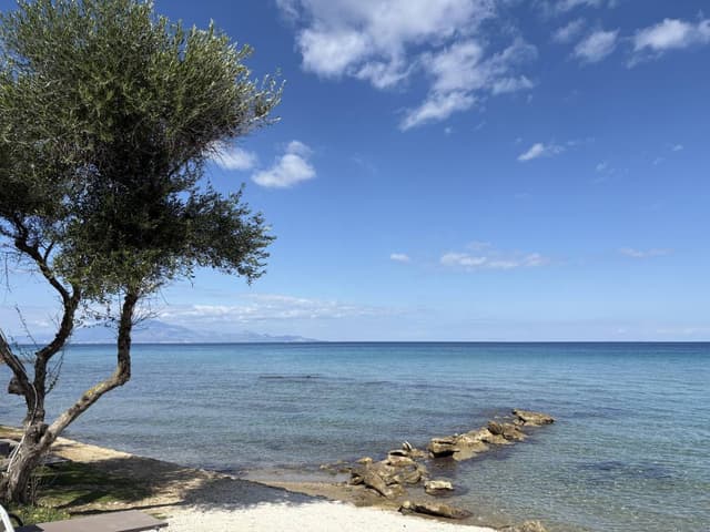 Photo 1 by Marius H. about renting a Fiat Panda at Zakynthos Airport (10/12/25)