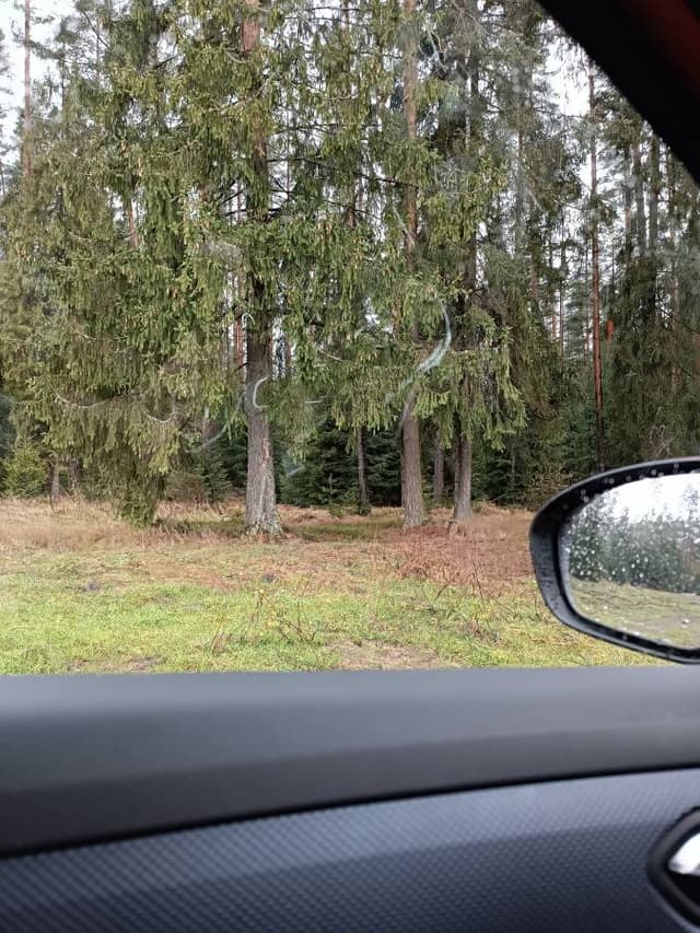 Фото 3 от Ihor K. об аренде Toyota C-HR в Варшаве (25.11.23)