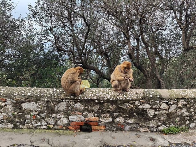 Zdjęcie 2 wykonane przez JACEK P. (21.01.24)