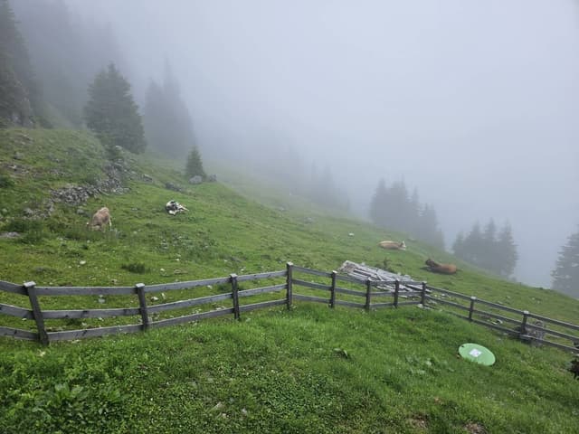 Photo 2 by Urmas S. about renting a Audi Q2 in Munich (7/11/24)
