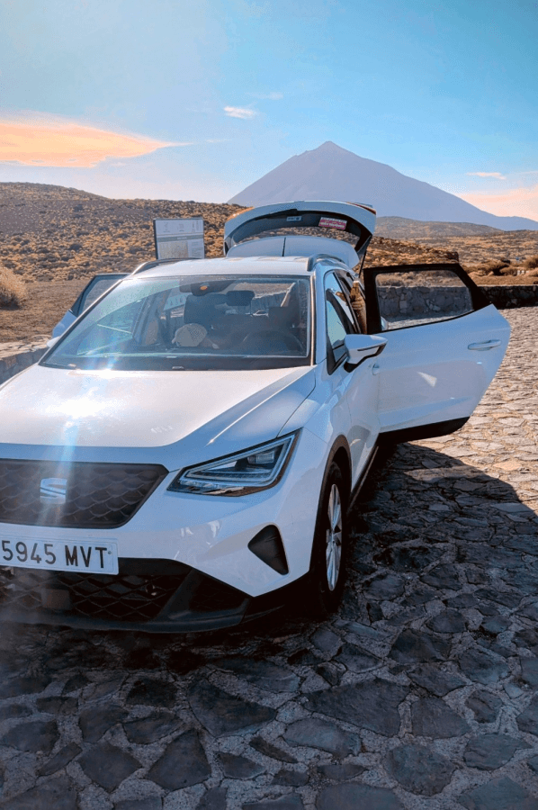 Photo by Saulius L. (11/12/25)